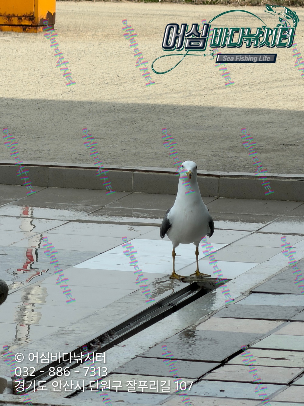 KakaoTalk_Photo_2026-04-03-19-14-35 001.jpeg