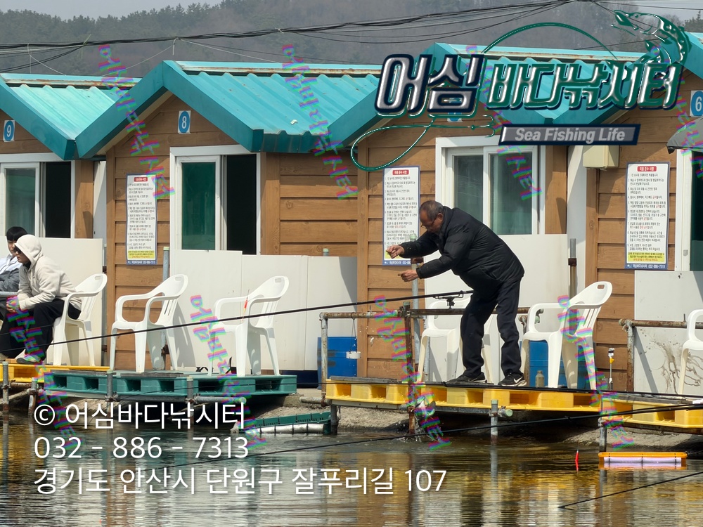 KakaoTalk_Photo_2026-04-03-19-14-58 007.jpeg