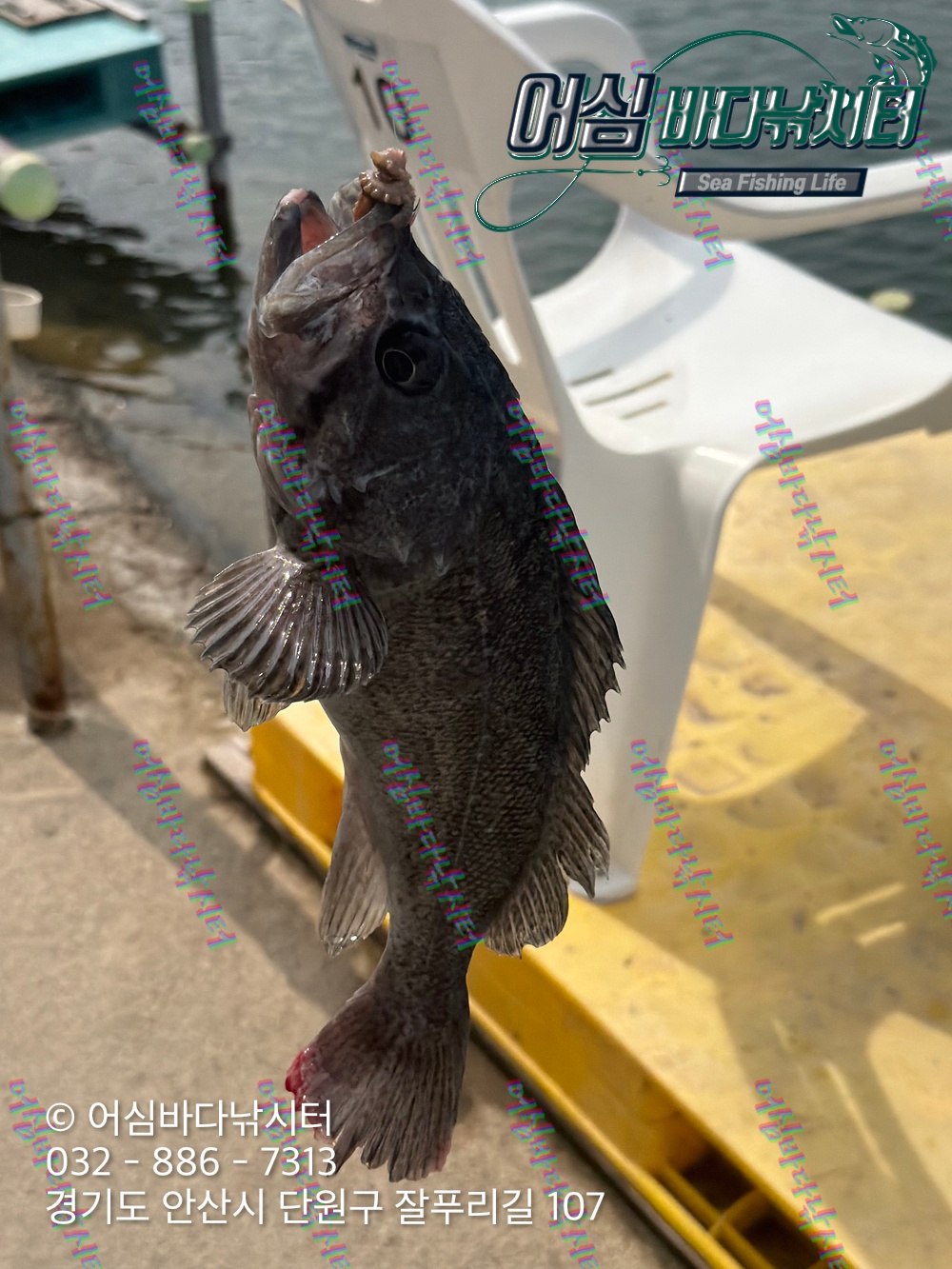 KakaoTalk_Photo_2026-04-03-19-14-04 003.jpeg