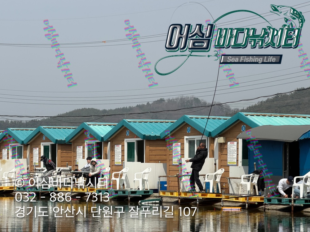 KakaoTalk_Photo_2026-04-03-19-14-57 006.jpeg