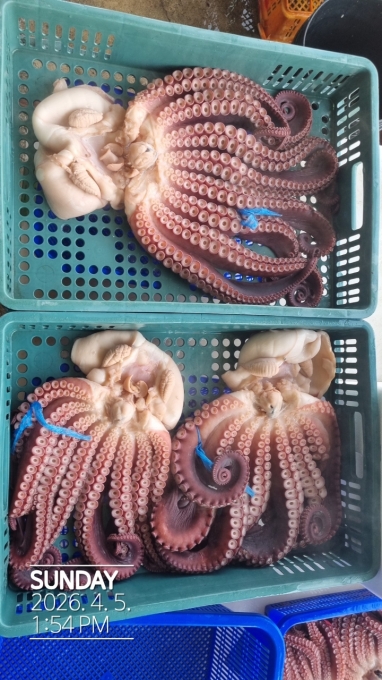 [ũ�⺯ȯ]���������ø�Ʈ(����ȣ)_����_20260405_10.jpg
