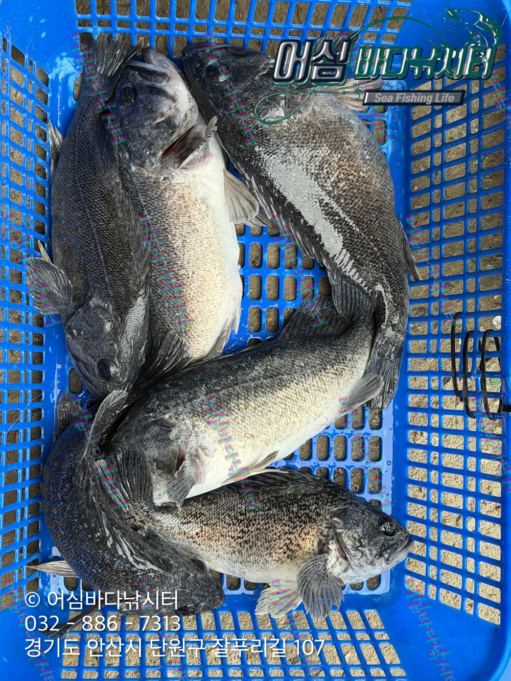 KakaoTalk_Photo_2026-04-09-18-06-46 003.jpeg