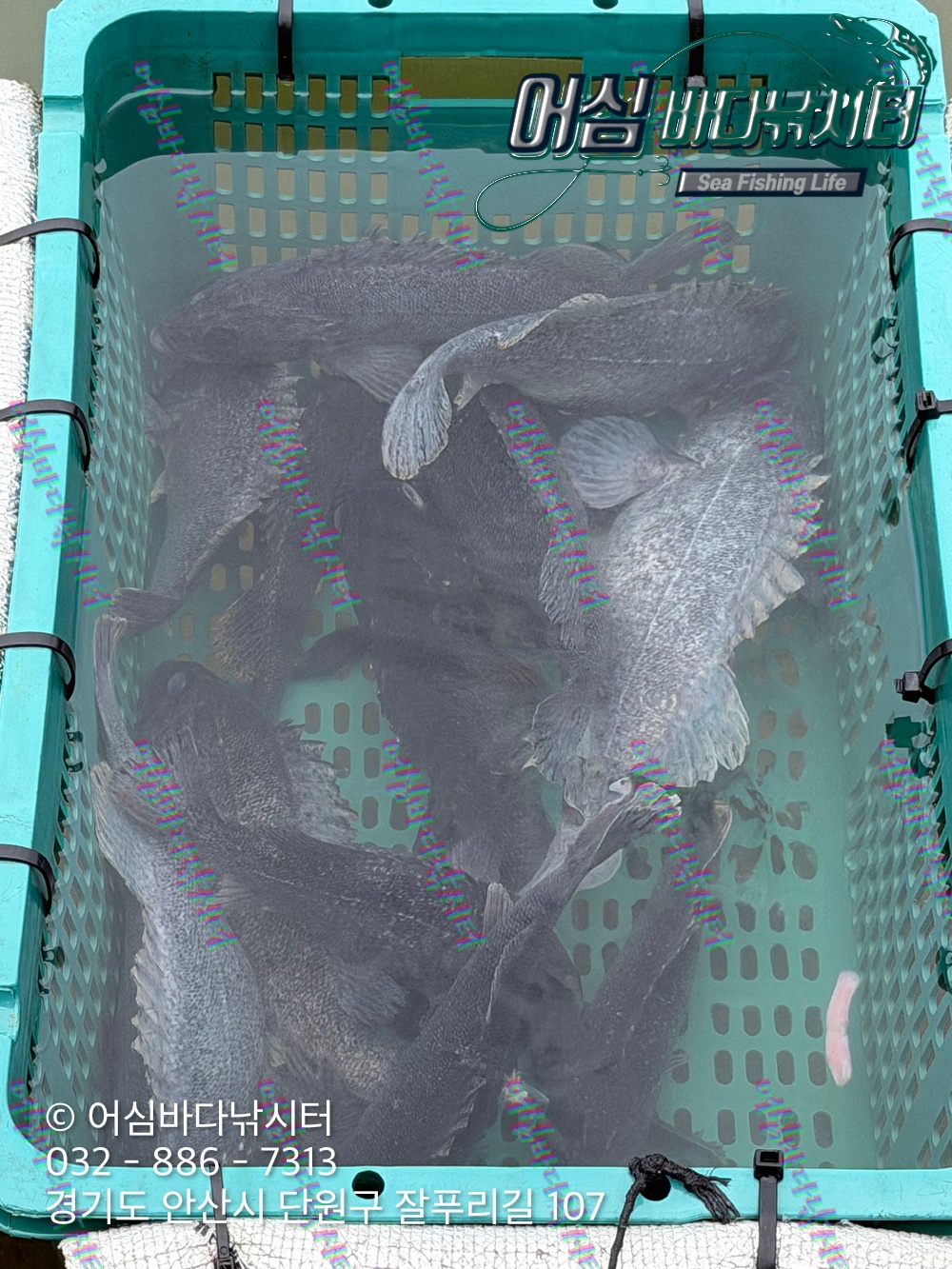 KakaoTalk_Photo_2026-04-09-18-06-44 001.jpeg