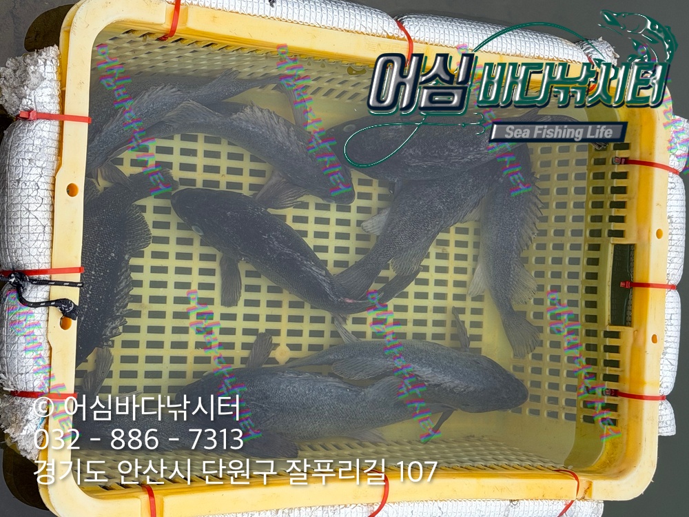 KakaoTalk_Photo_2026-04-09-18-06-45 002.jpeg