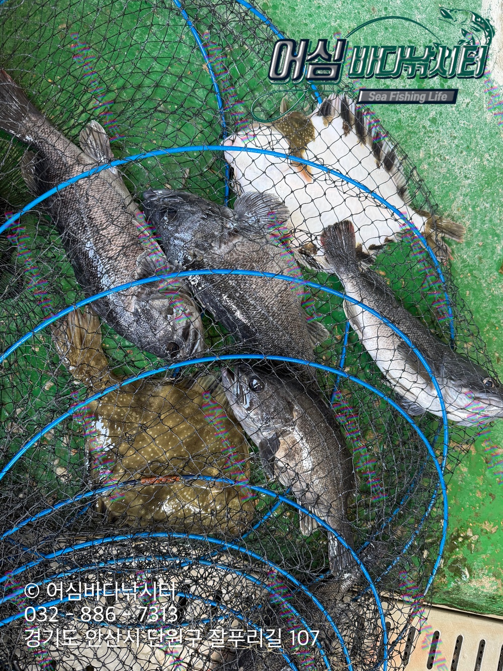 KakaoTalk_Photo_2026-04-16-18-40-46 004.jpeg