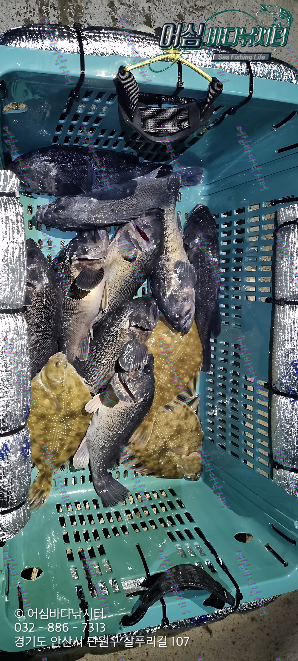 KakaoTalk_Photo_2026-04-16-18-41-25 003.jpeg