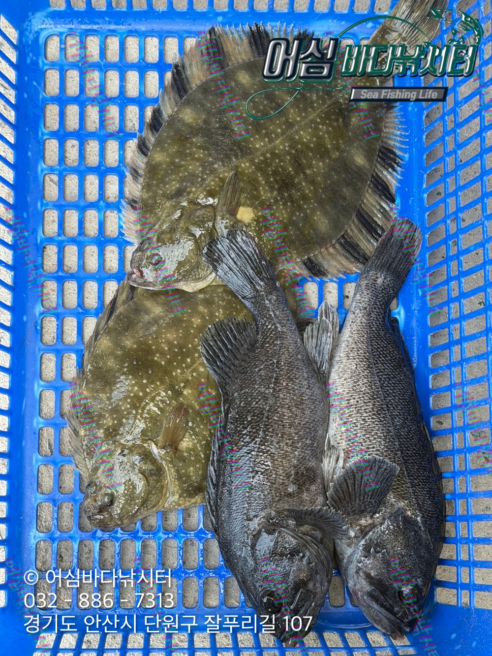 KakaoTalk_Photo_2026-04-16-18-40-45 002.jpeg