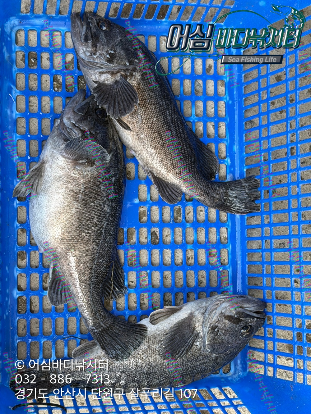 KakaoTalk_Photo_2026-04-16-18-40-42 001.jpeg