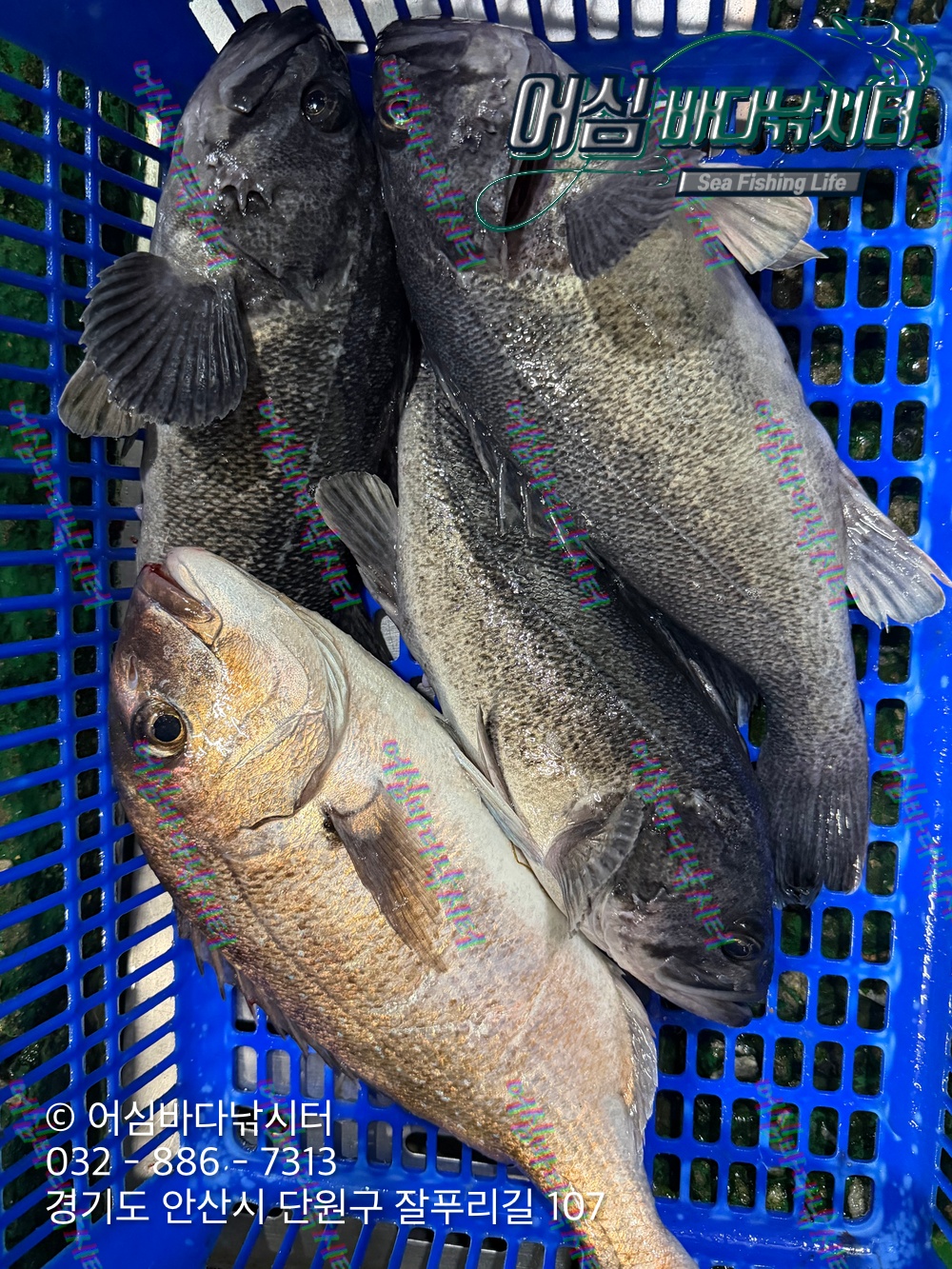 KakaoTalk_Photo_2026-04-16-18-39-34 001.jpeg