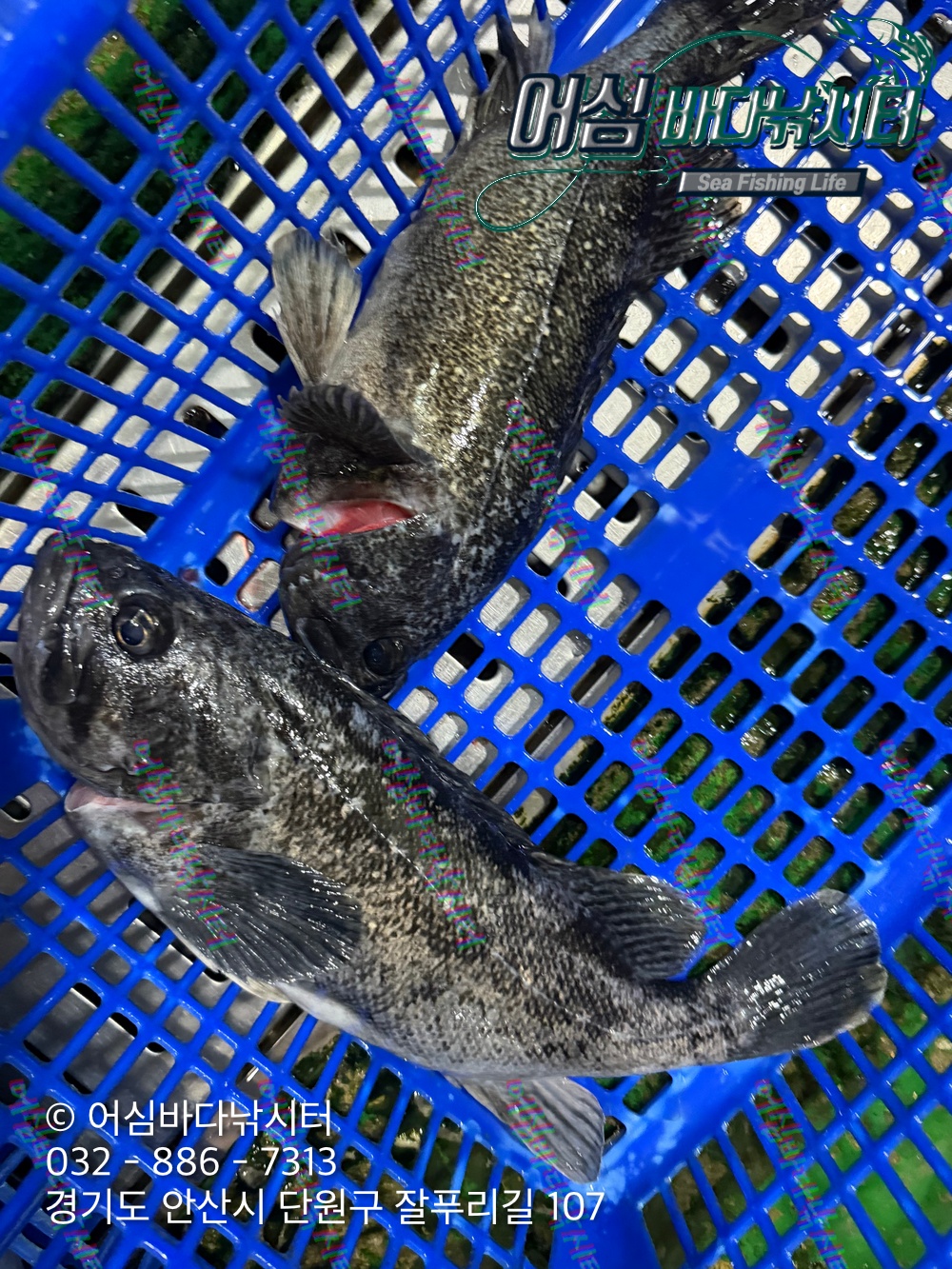 KakaoTalk_Photo_2026-04-16-18-41-28 007.jpeg