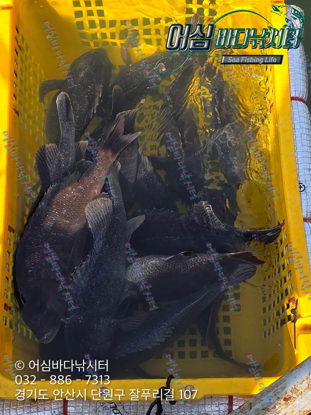 KakaoTalk_Photo_2026-04-16-18-41-26 005.jpeg