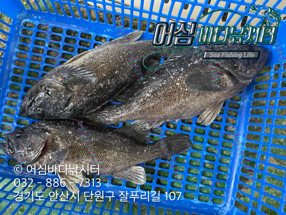 KakaoTalk_Photo_2026-04-16-18-41-29 008.jpeg