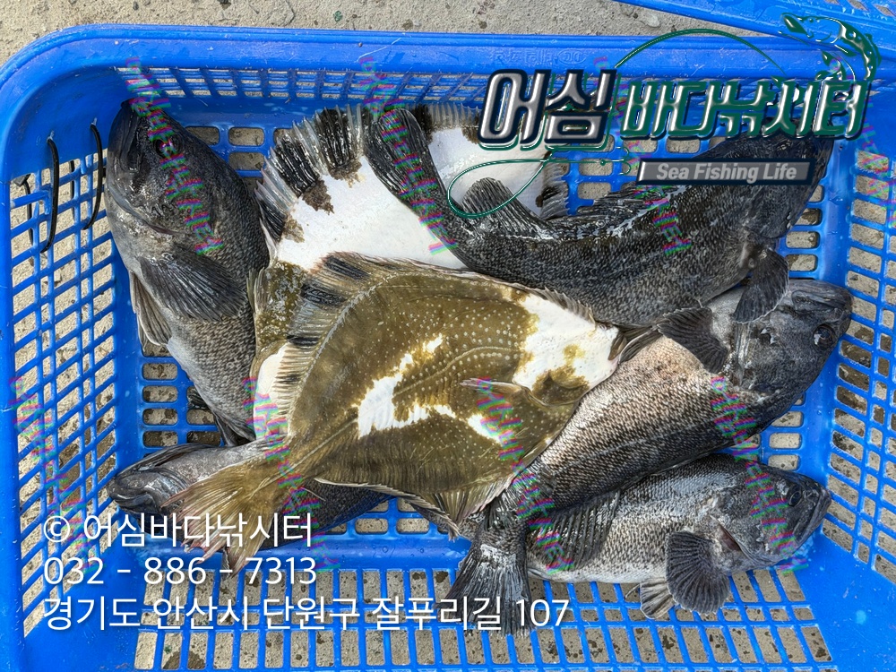 KakaoTalk_Photo_2026-04-16-18-40-45 003.jpeg