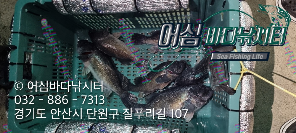 KakaoTalk_Photo_2026-04-16-18-41-25 001.jpeg