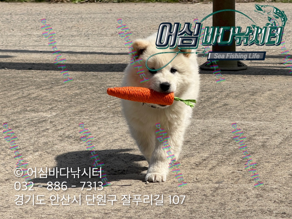 KakaoTalk_Photo_2026-04-16-18-41-26 004.jpeg