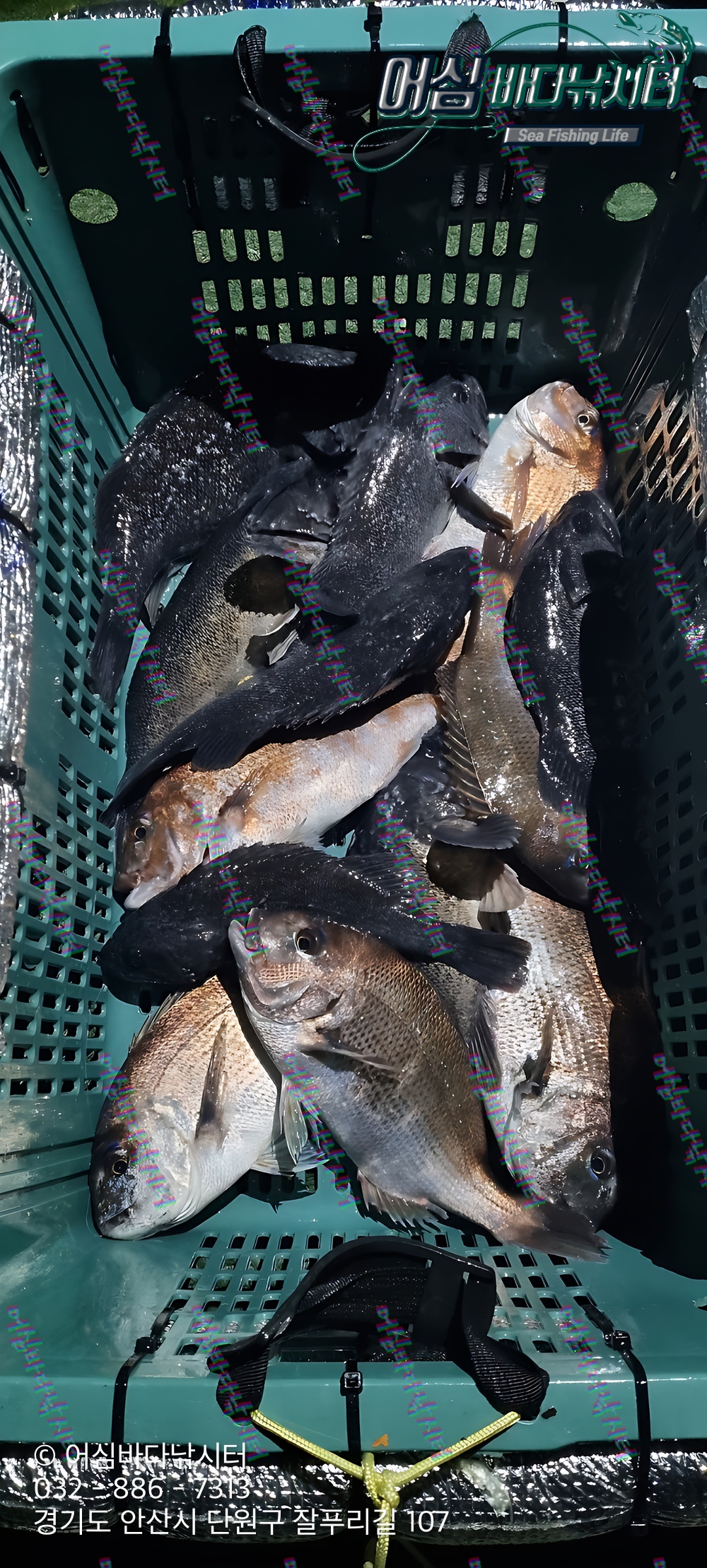 KakaoTalk_Photo_2026-04-27-18-00-44 001.jpeg