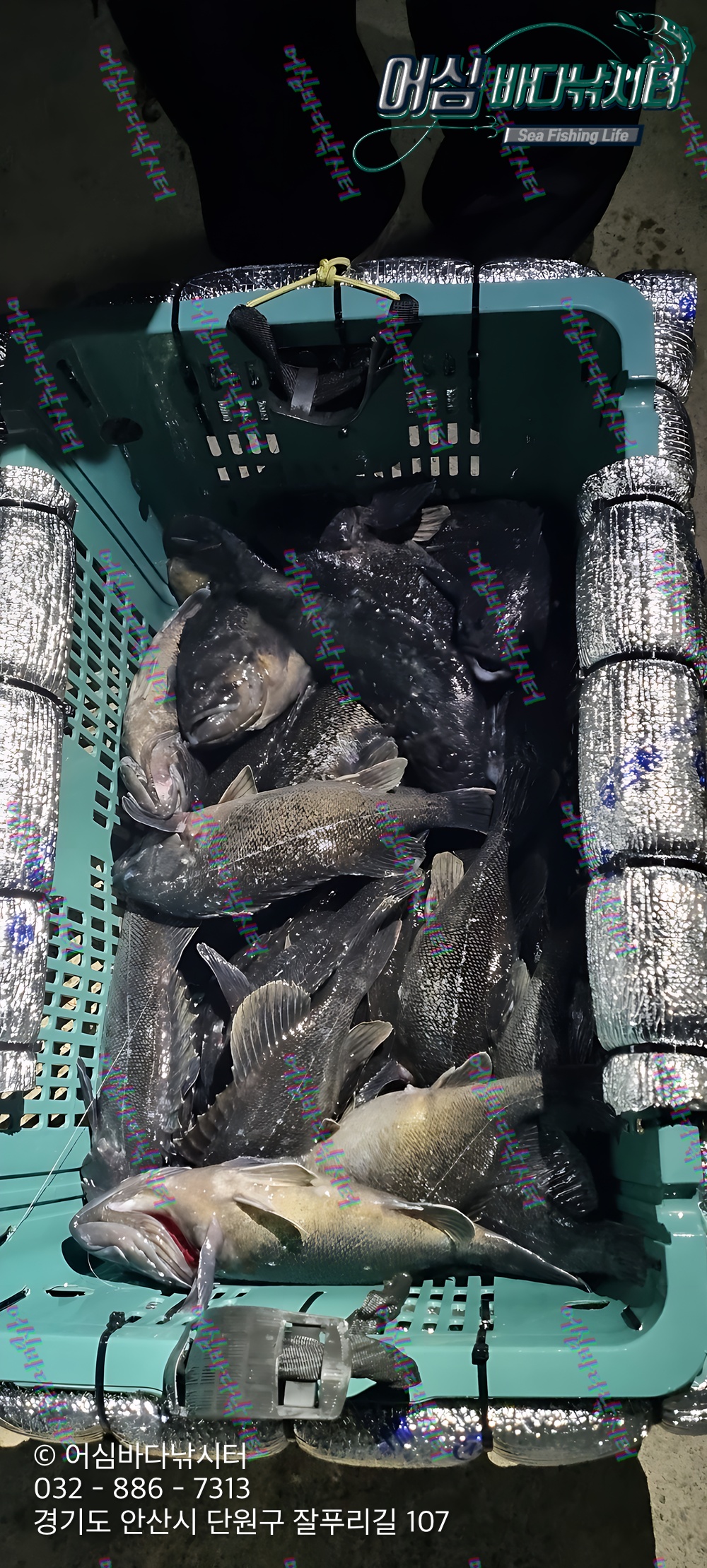 KakaoTalk_Photo_2026-04-27-18-00-45 006.jpeg