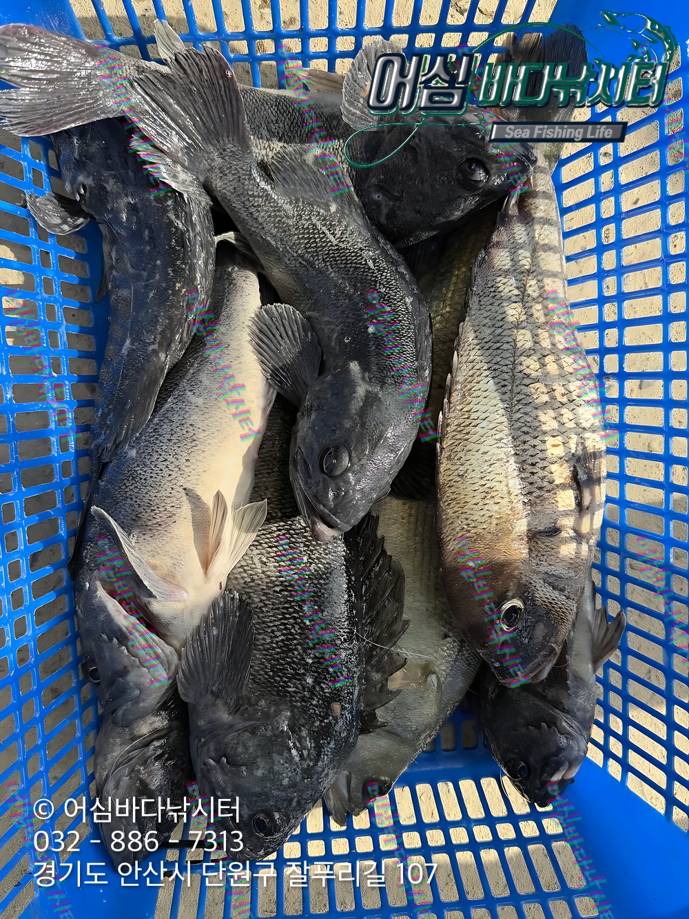 KakaoTalk_Photo_2026-04-27-18-00-45 004.jpeg