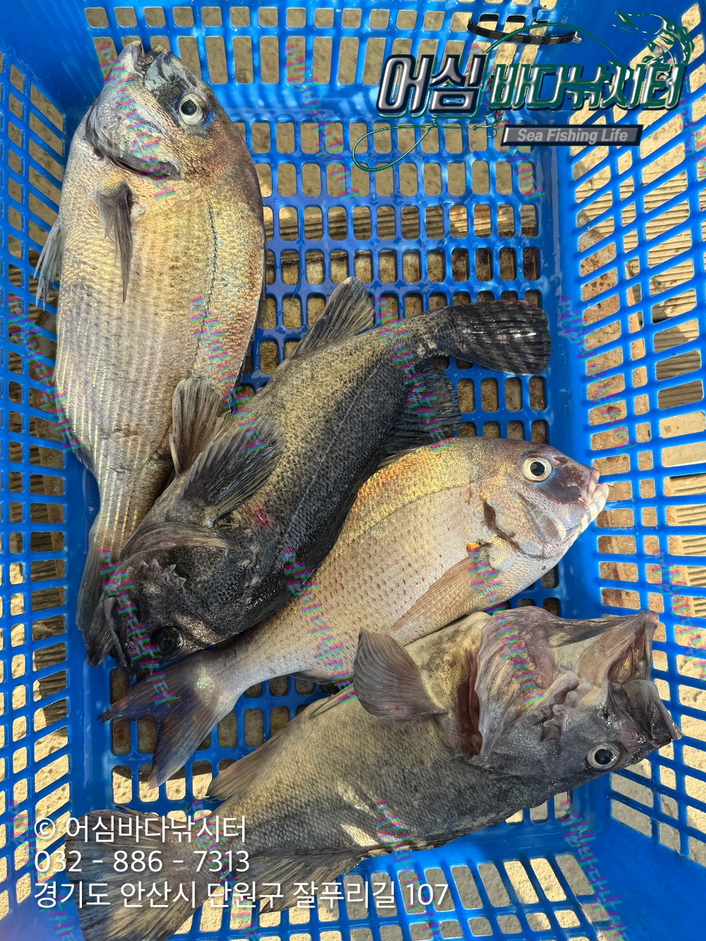 KakaoTalk_Photo_2026-04-27-17-59-20 003.jpeg