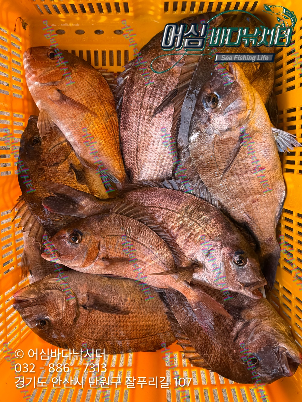 KakaoTalk_Photo_2026-04-27-17-56-34 003.jpeg