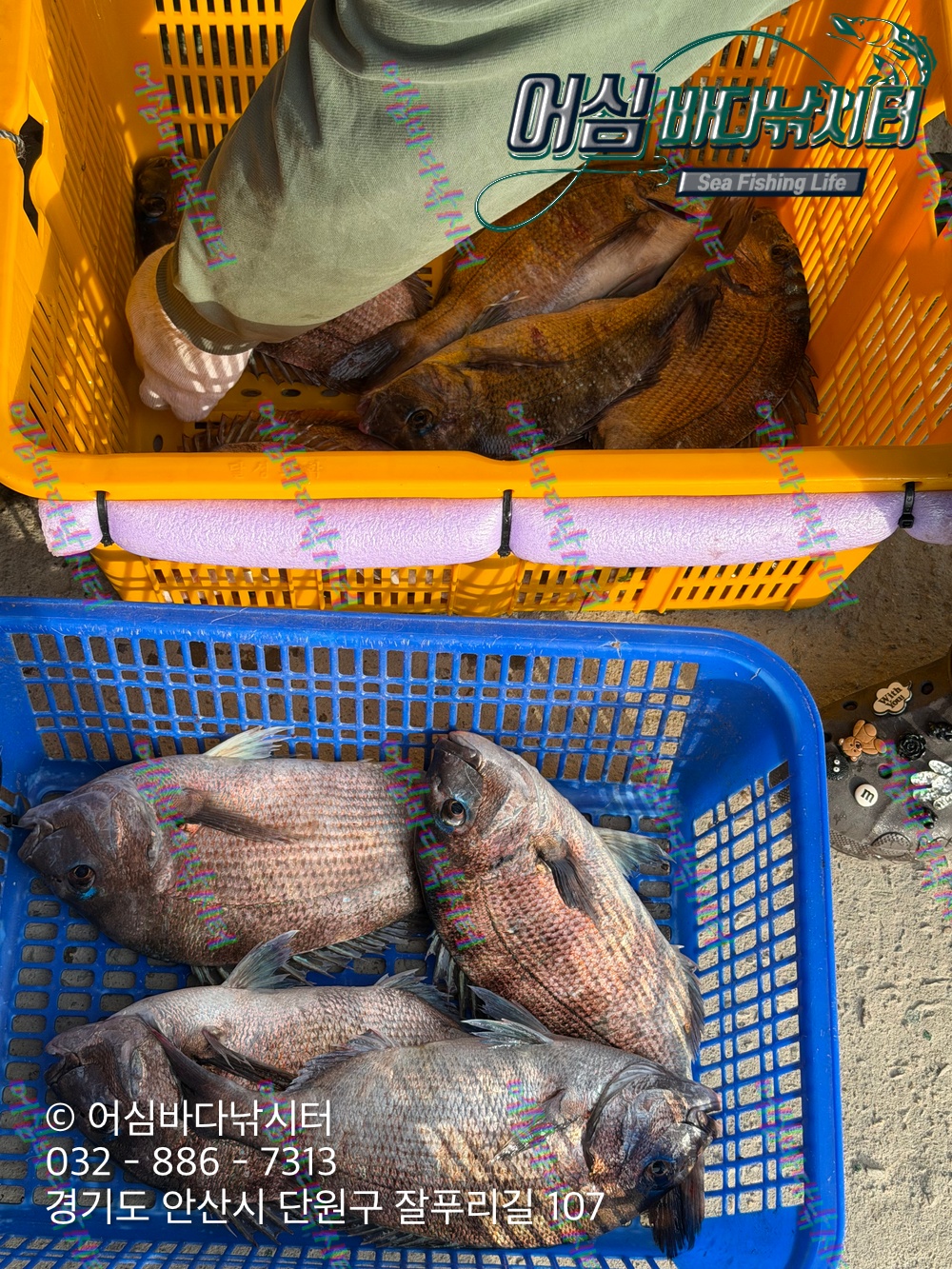 KakaoTalk_Photo_2026-04-27-17-56-32 001.jpeg