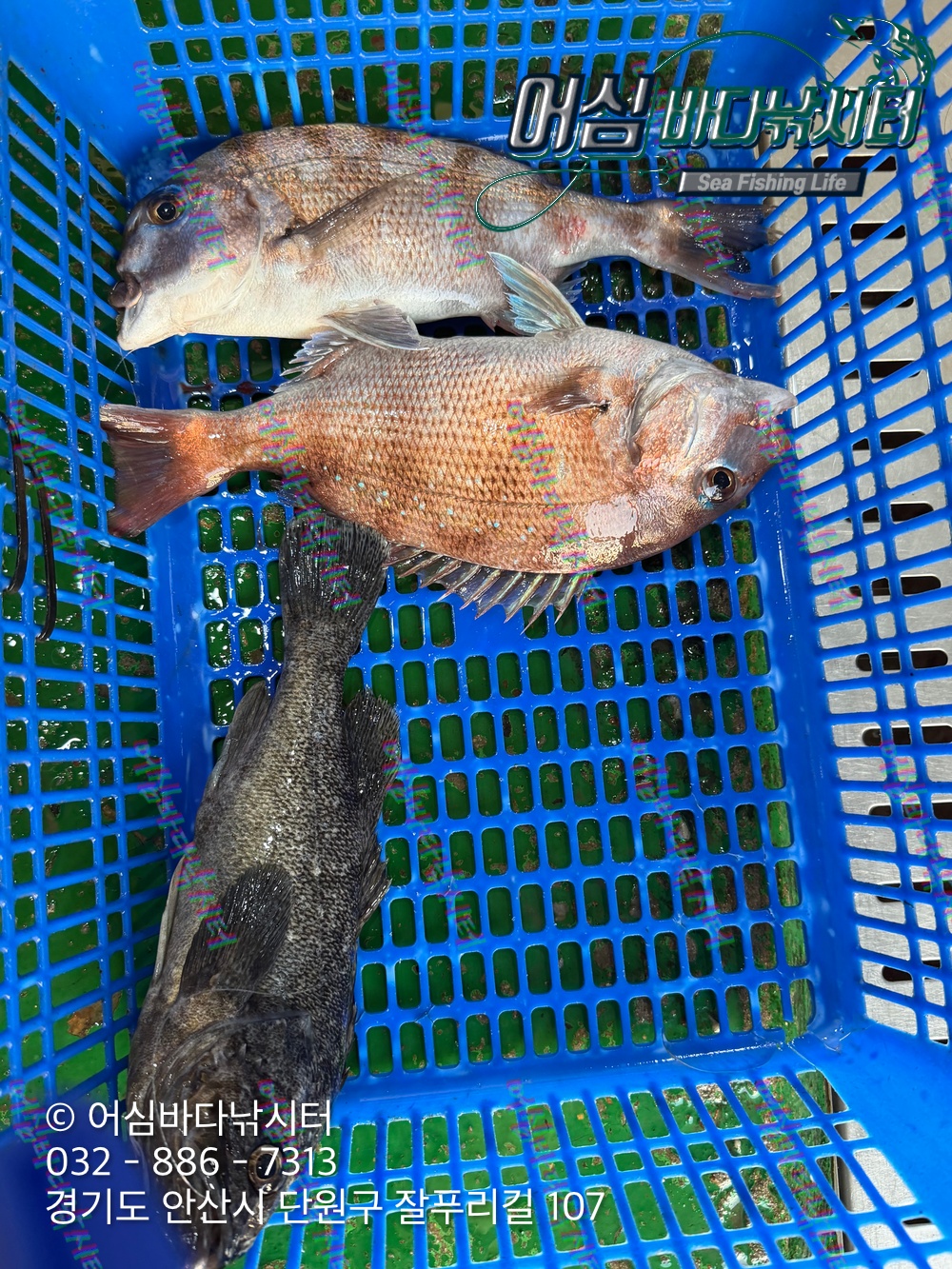 KakaoTalk_Photo_2026-04-27-17-59-17 001.jpeg