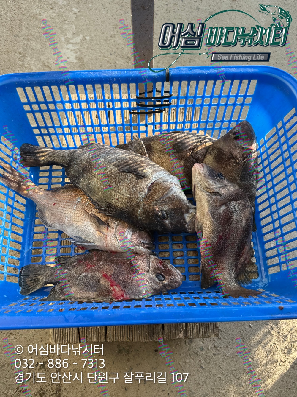 KakaoTalk_Photo_2026-04-27-17-59-08 002.jpeg