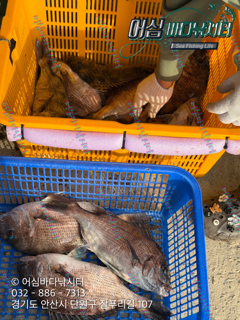 KakaoTalk_Photo_2026-04-27-17-56-33 002.jpeg