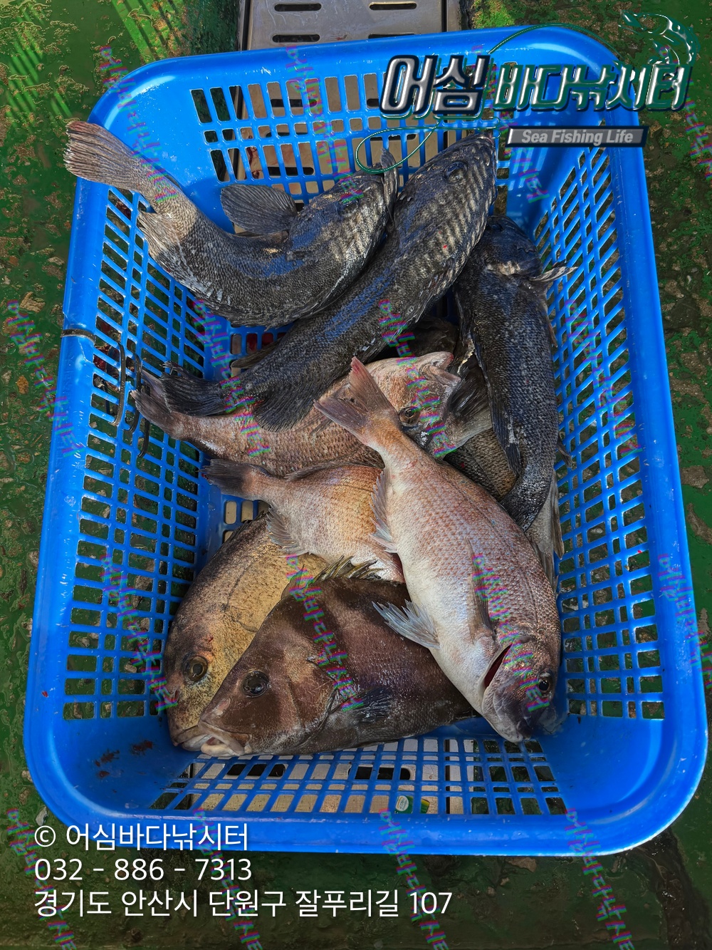 KakaoTalk_Photo_2026-04-27-17-59-19 002.jpeg