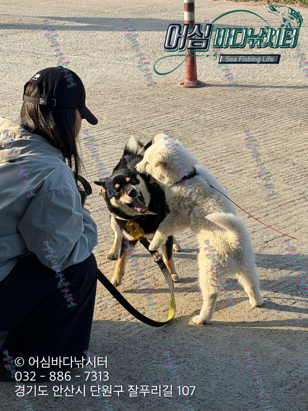 KakaoTalk_Photo_2026-04-27-17-59-54 001.jpeg