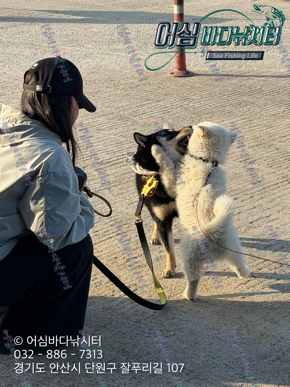 KakaoTalk_Photo_2026-04-27-17-59-55 002.jpeg