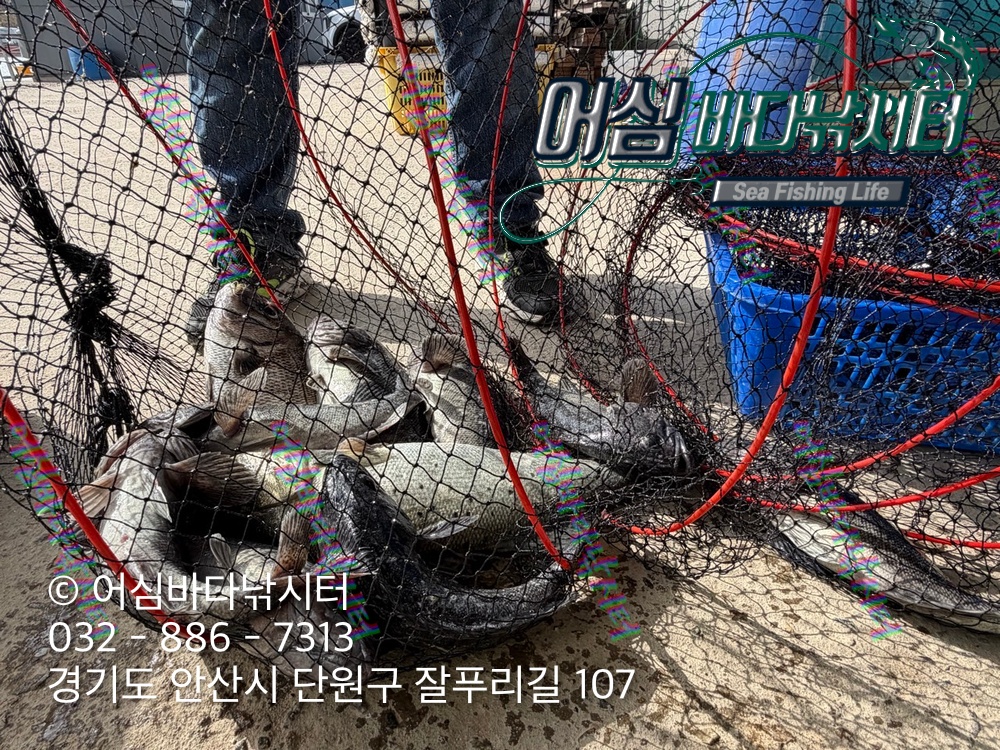 KakaoTalk_Photo_2026-04-27-18-00-45 005.jpeg