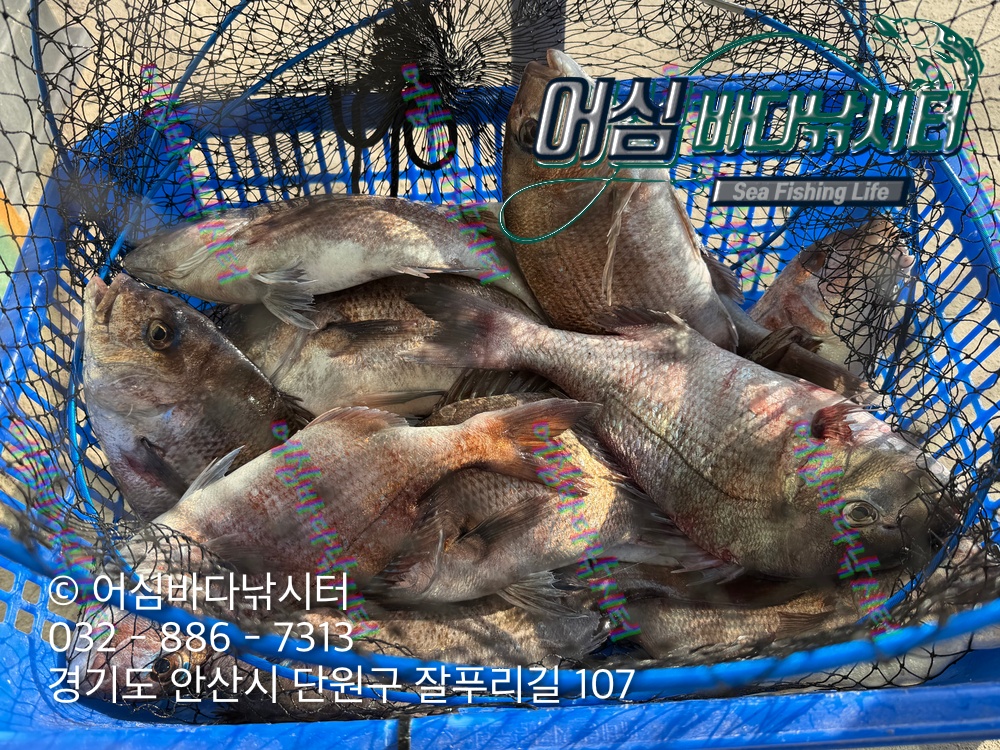 KakaoTalk_Photo_2026-04-27-18-00-04 001.jpeg