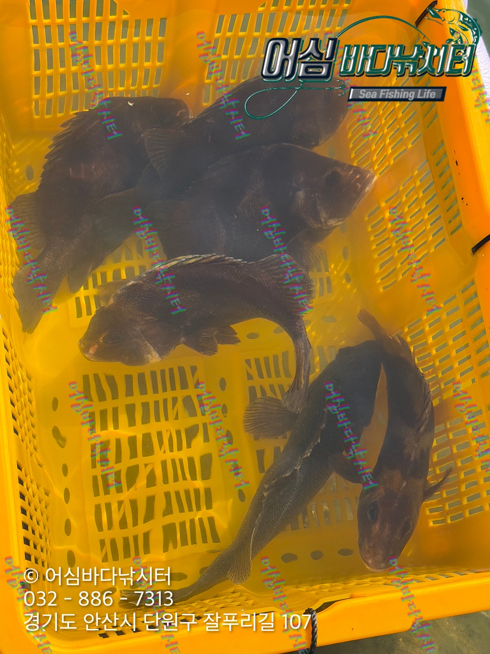 KakaoTalk_Photo_2026-04-27-17-58-54 001.jpeg