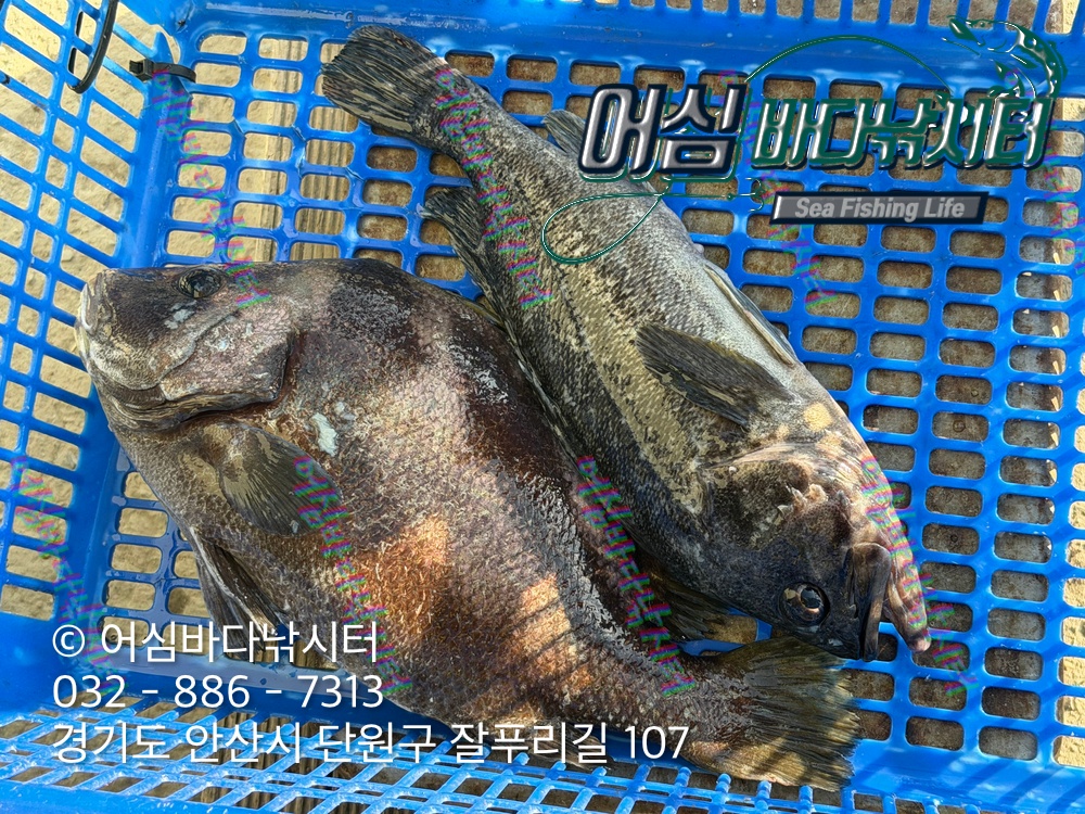 KakaoTalk_Photo_2026-04-27-17-59-07 001.jpeg