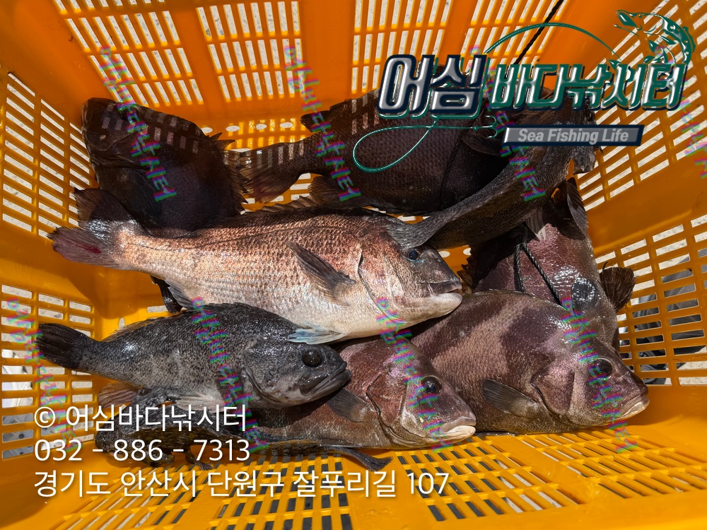 KakaoTalk_Photo_2026-04-27-17-58-55 002.jpeg