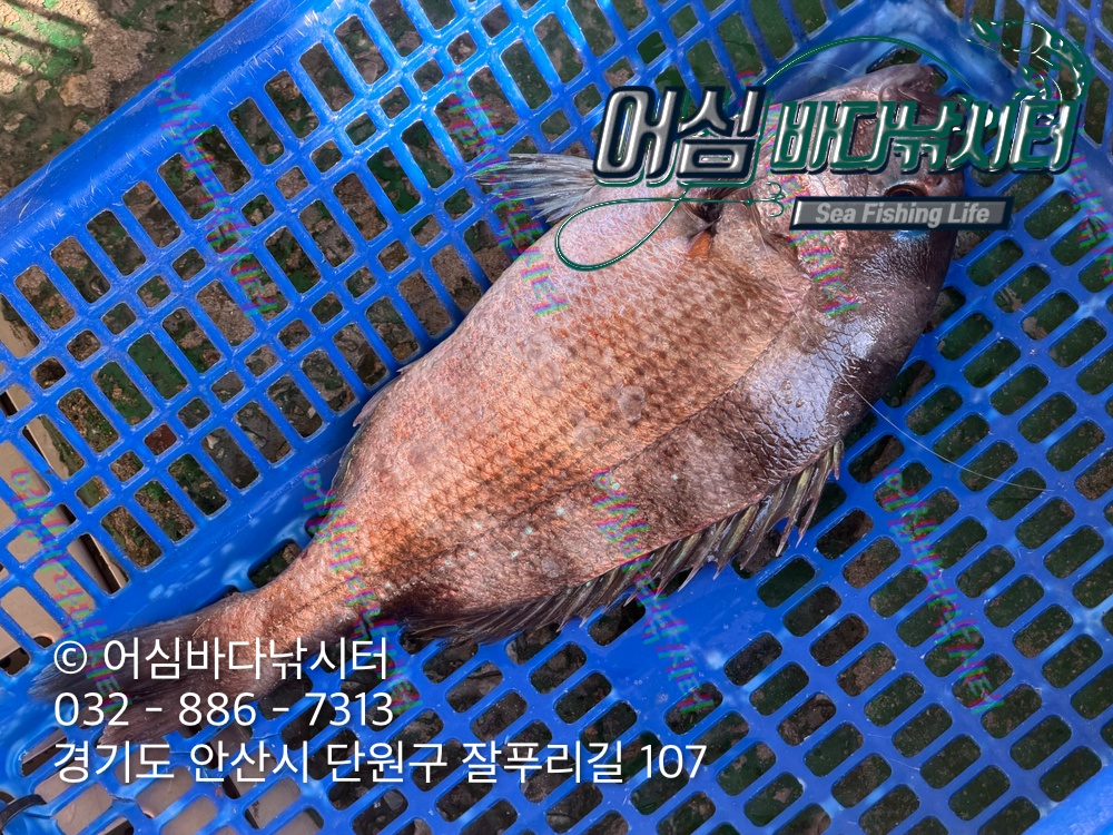 KakaoTalk_Photo_2026-04-27-18-00-08 002.jpeg