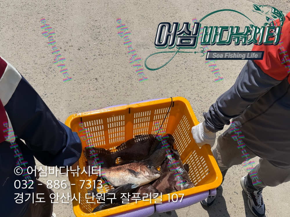 KakaoTalk_Photo_2026-04-27-17-58-56 003.jpeg