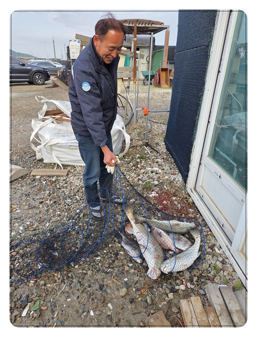 009.jpg