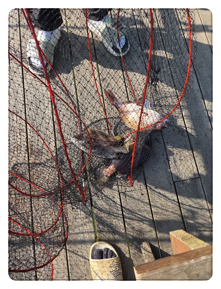 031.jpg