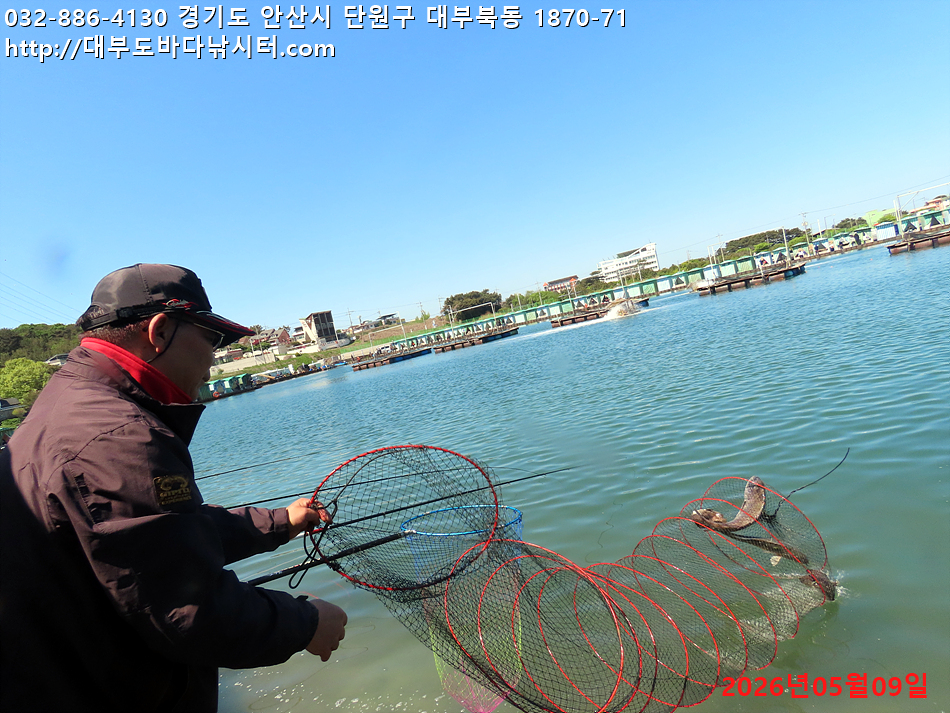 IMG_1341.jpg