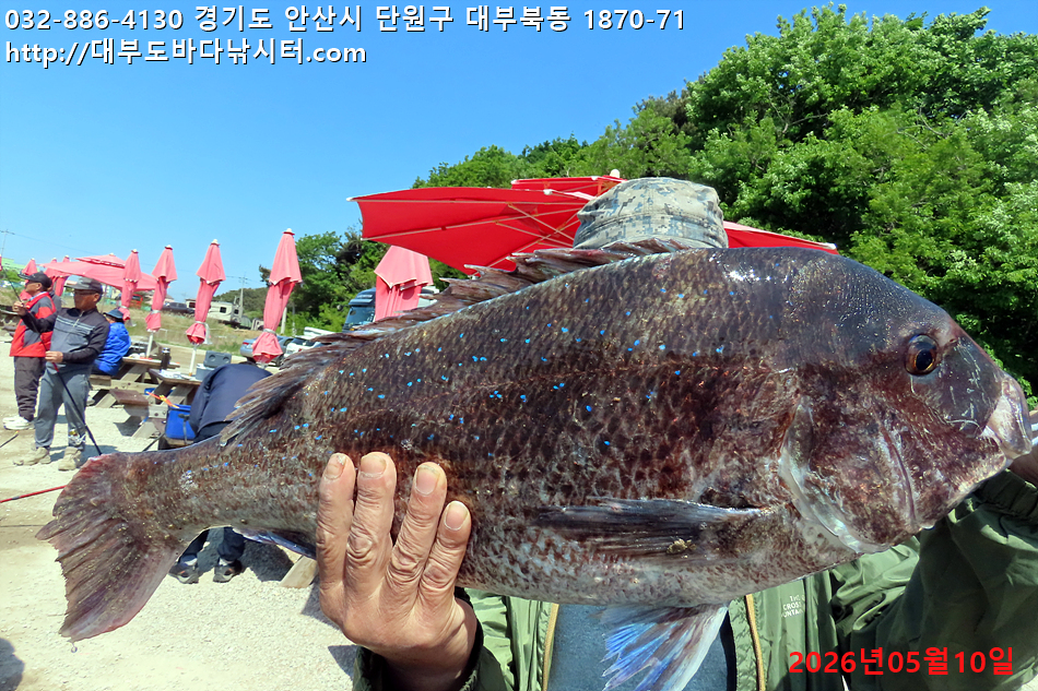 IMG_8619.jpg