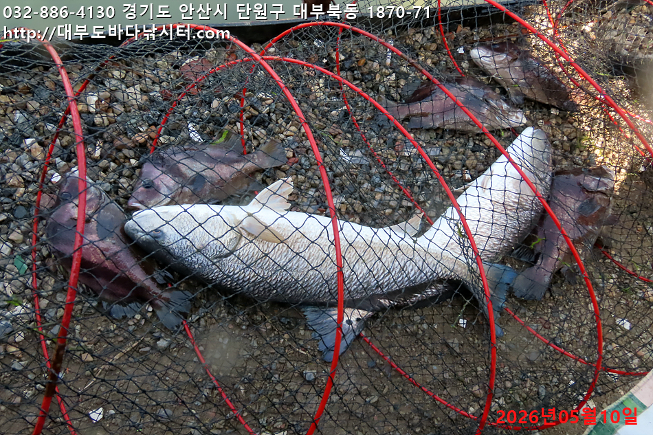 IMG_8628.jpg