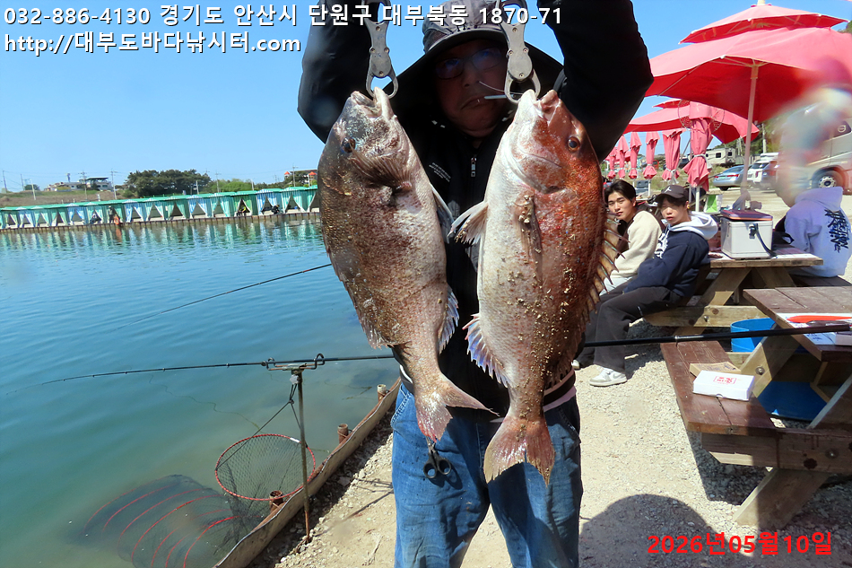 IMG_8623.jpg