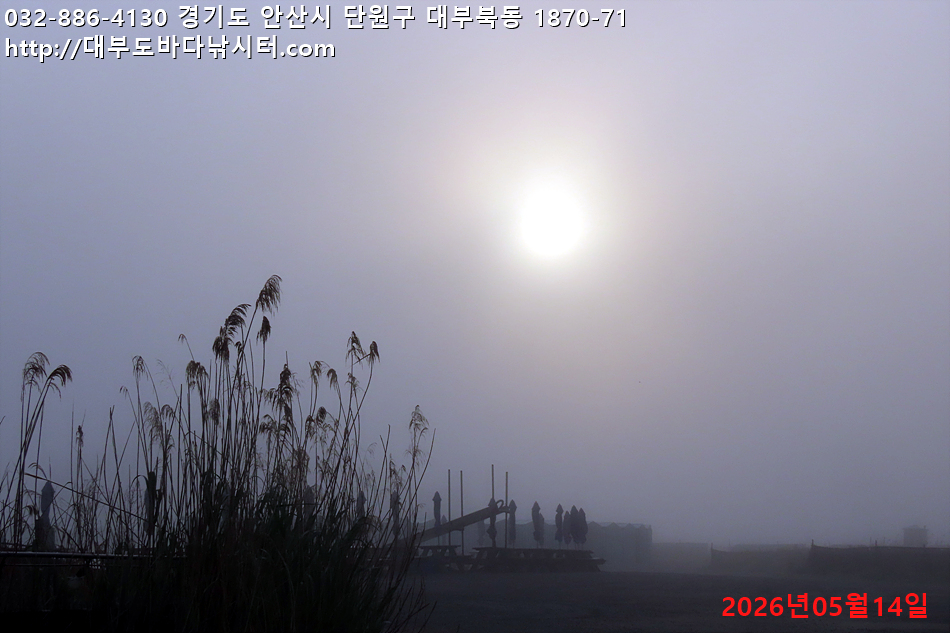 IMG_8739.jpg