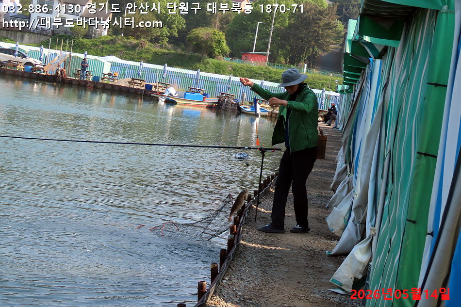 IMG_8762.jpg