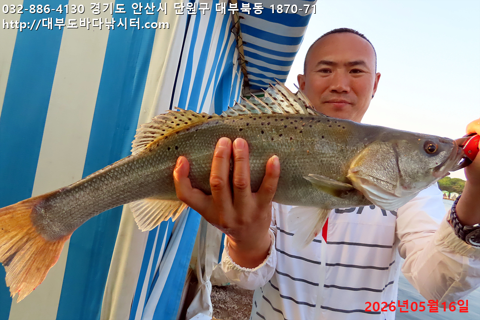 IMG_8786.jpg