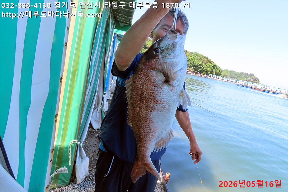 IMG_8854.jpg