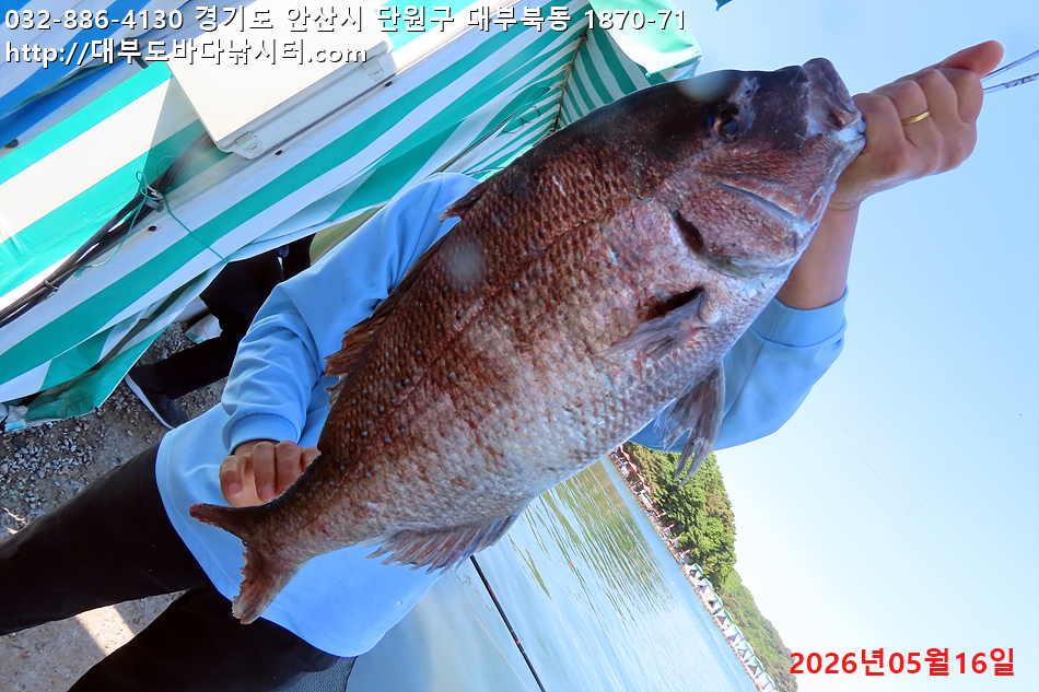 IMG_8859.jpg