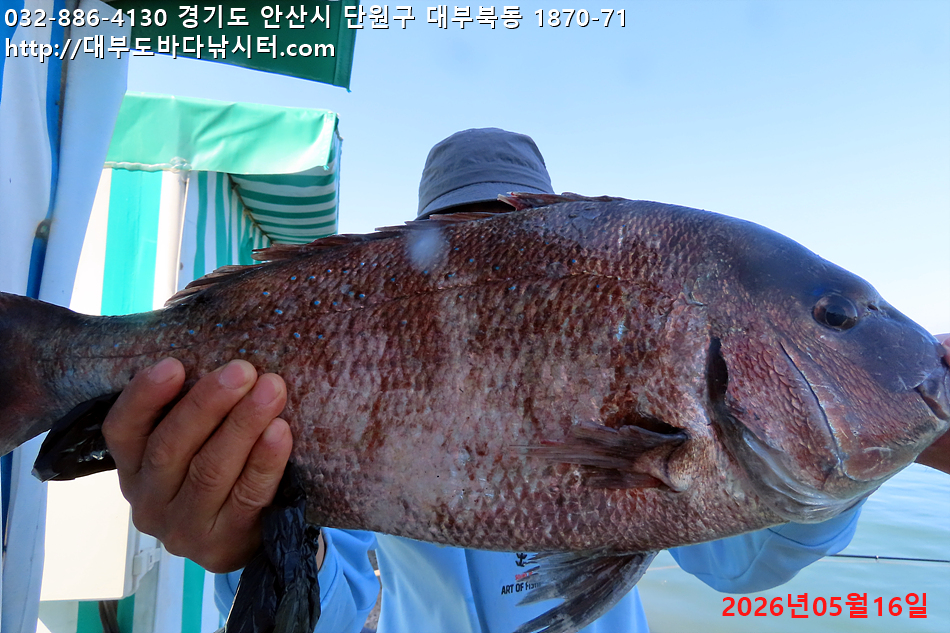 IMG_8858.jpg